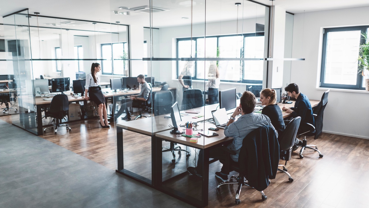 Our team at work in a modern open-plan office